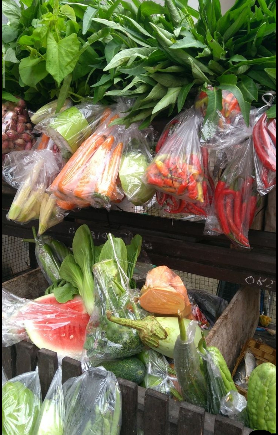 Sayur Keliling (asongan)
